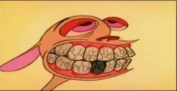 小白牙养成记,如何从小养成大白牙