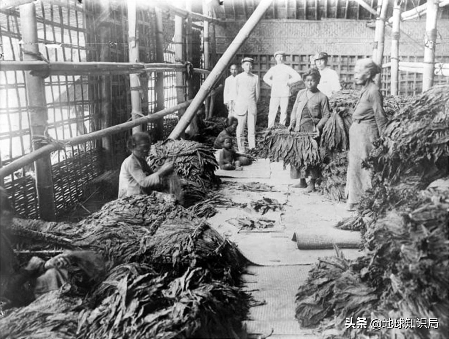 印尼现状相当于中国的什么阶段,印尼靠什么发电