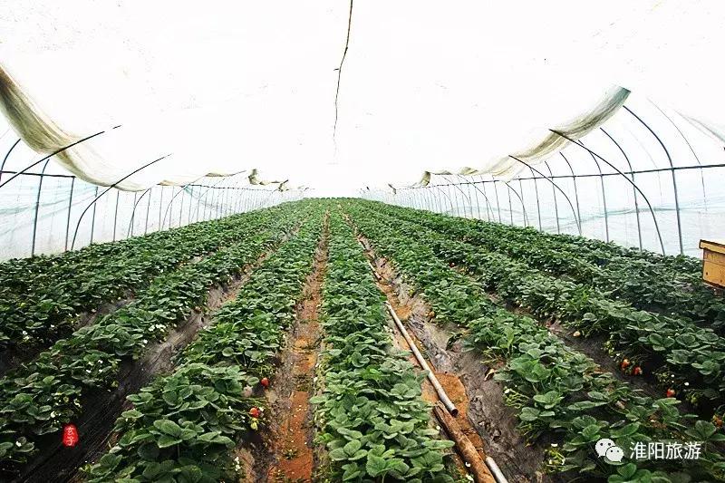 长亭外,古道边……原来淮阳古代的十里长亭竟然在这里