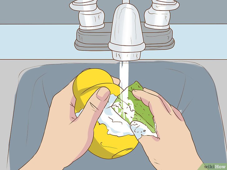 怎么消除宠物味道,如何清除室内宠物味道