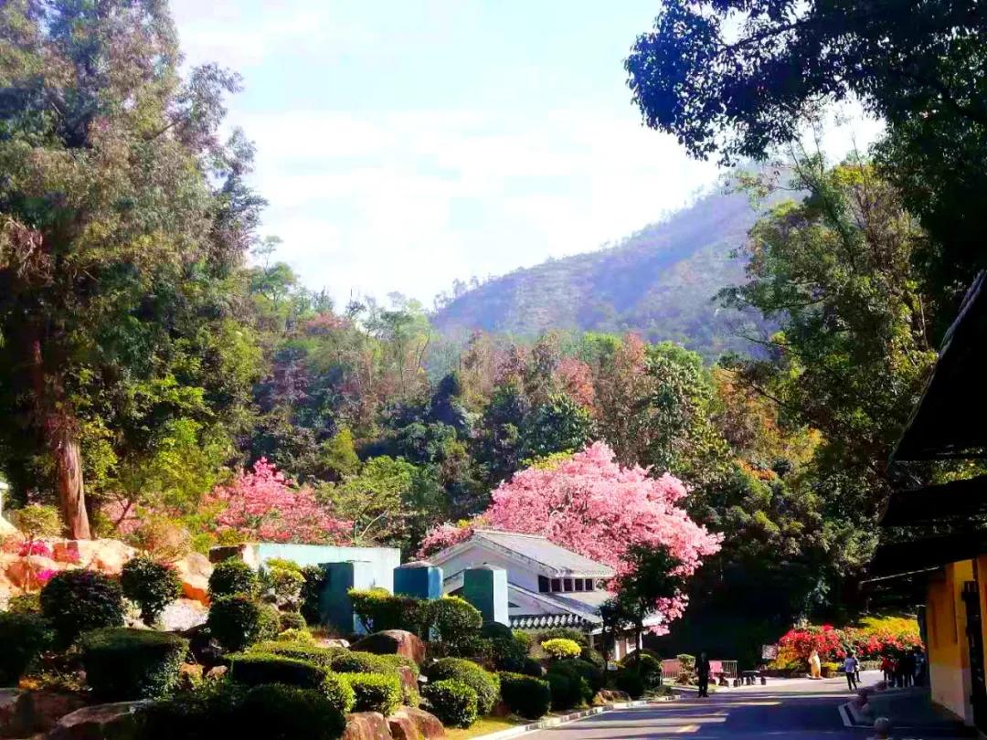 珠海买房过冬真实感受,在珠海买房十大秘诀