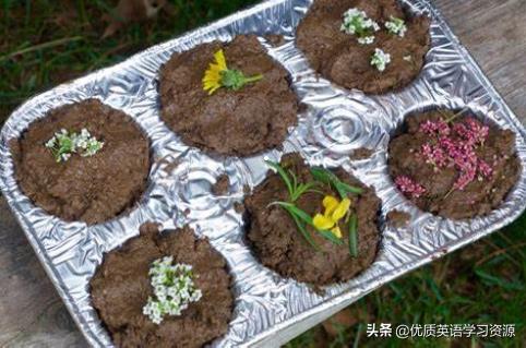 英语原版小说mobi,英语原著精读lorna