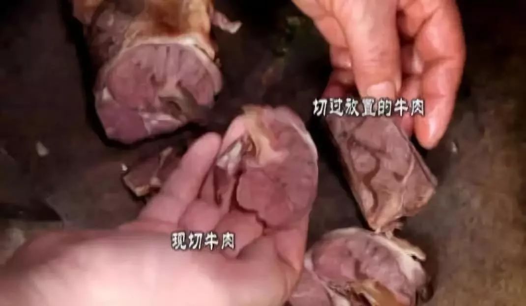 开了三十年的牛肉汤馆,开了十几年的牛杂店