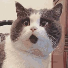 可怕男子高烧10天肝脏惊现寄生虫,男子高烧10天肝脏发现寄生虫