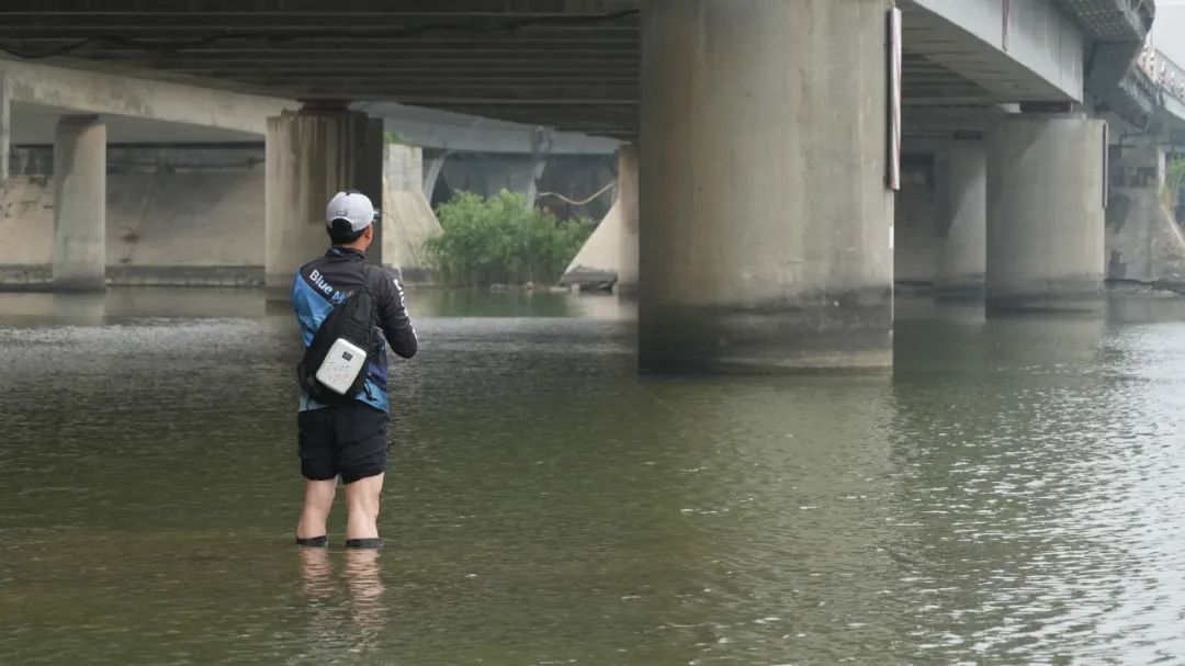 桥桩路亚鳜鱼后多久有鱼,铅头软饵钓鳜鱼手法