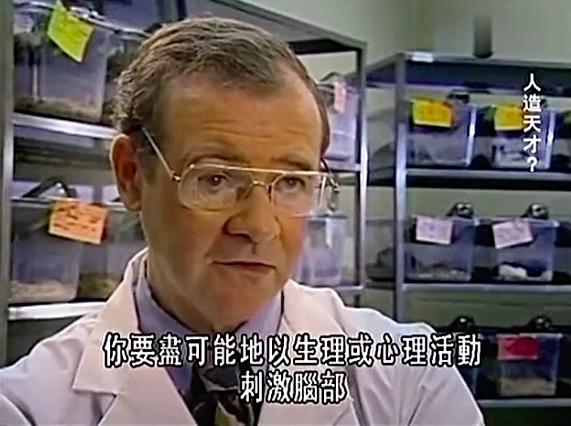科学家用三组老鼠做实验,发现了让大脑变聪明的秘密……父母必读