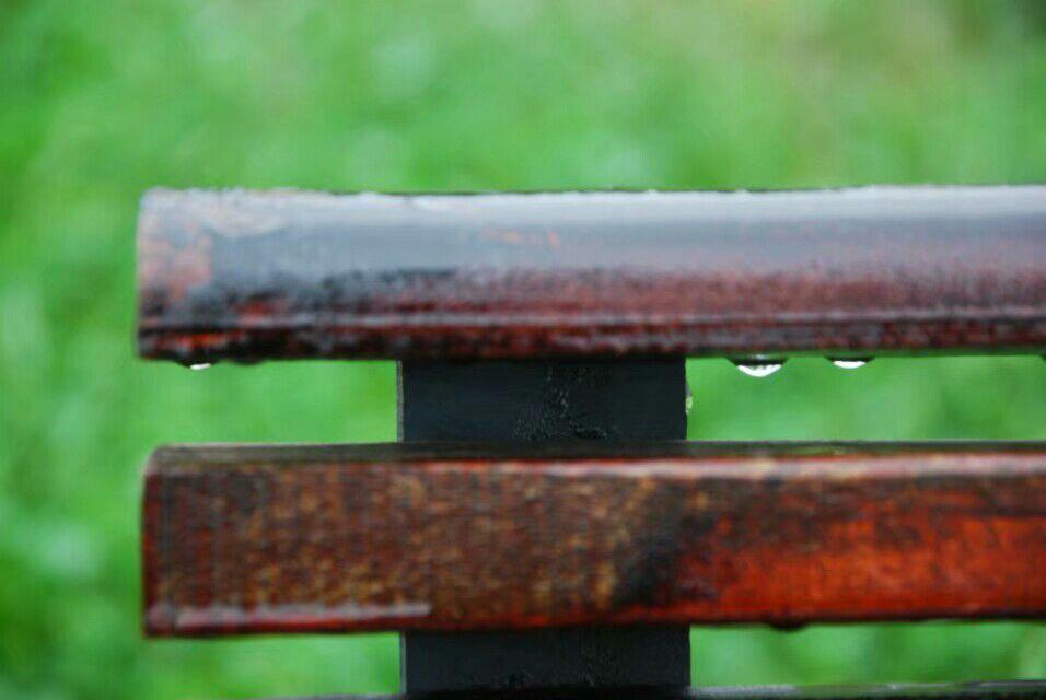 原创雨中遐想,原创雨文字