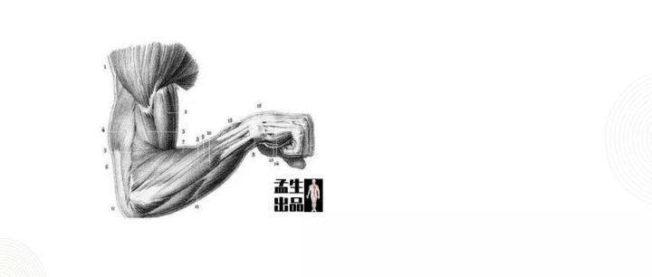 鸡蛋粉有什么效果,粉蛋的作用和功效