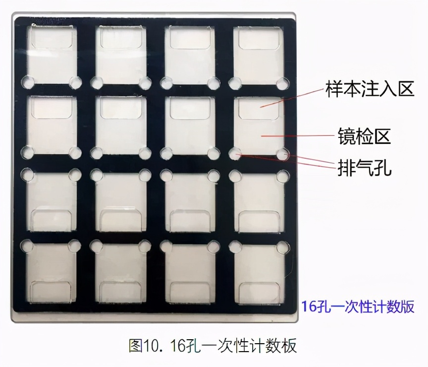 尿液有形成分分析的应用进展,尿液染色方法