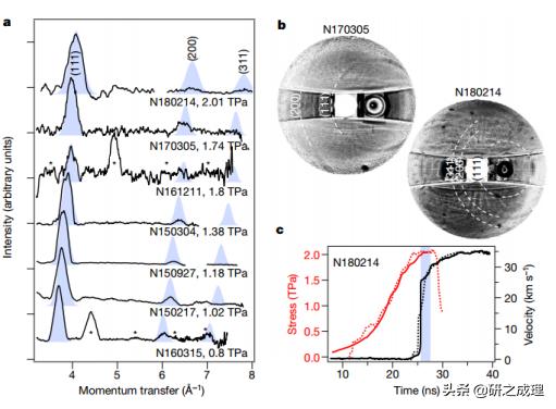 亚历山大最新信息,压力山大最新能力值