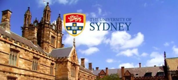 就业实力赶超985211的大学,悉尼大学就业竞争力为什么高