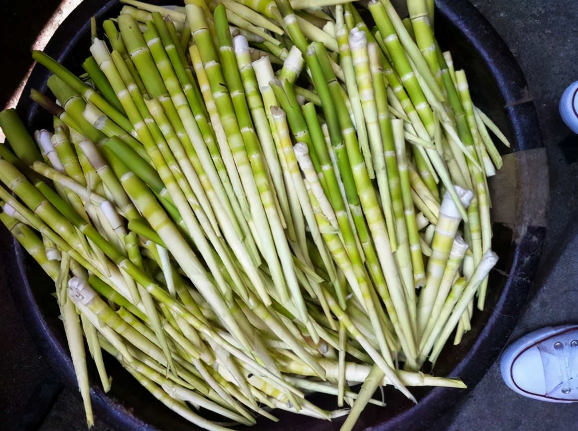 浙江现在这种笋叫什么笋,有一种很大的竹笋叫啥笋