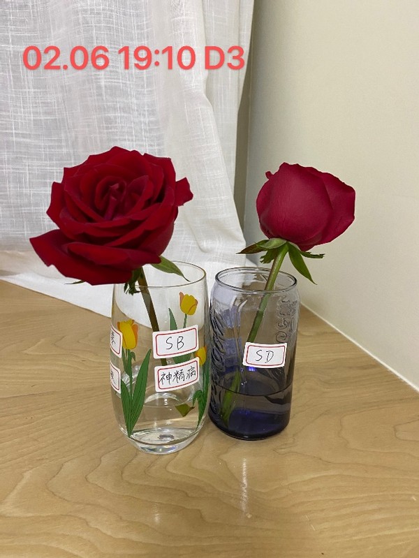 无形决定有形的说法,无形决定有形