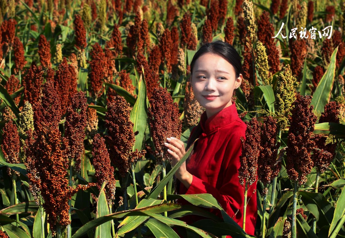 安康市恒口示范区百日大会战,安康市恒口示范区成立始末