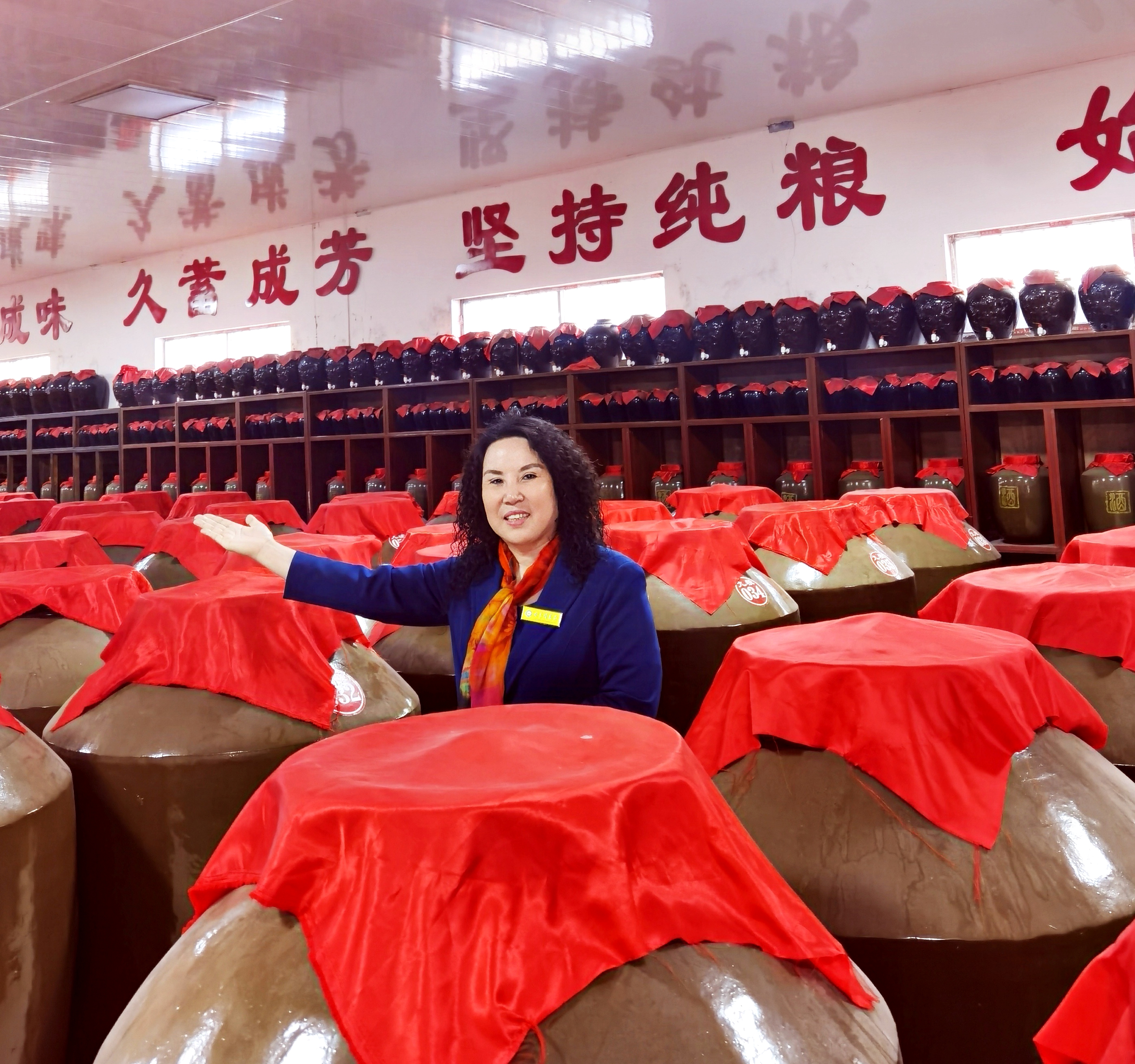 栽下梧桐树引进金凤凰,栽棵梧桐树引来金凤凰