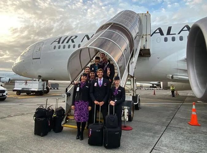 纽航空乘,纽航空姐失业后视频