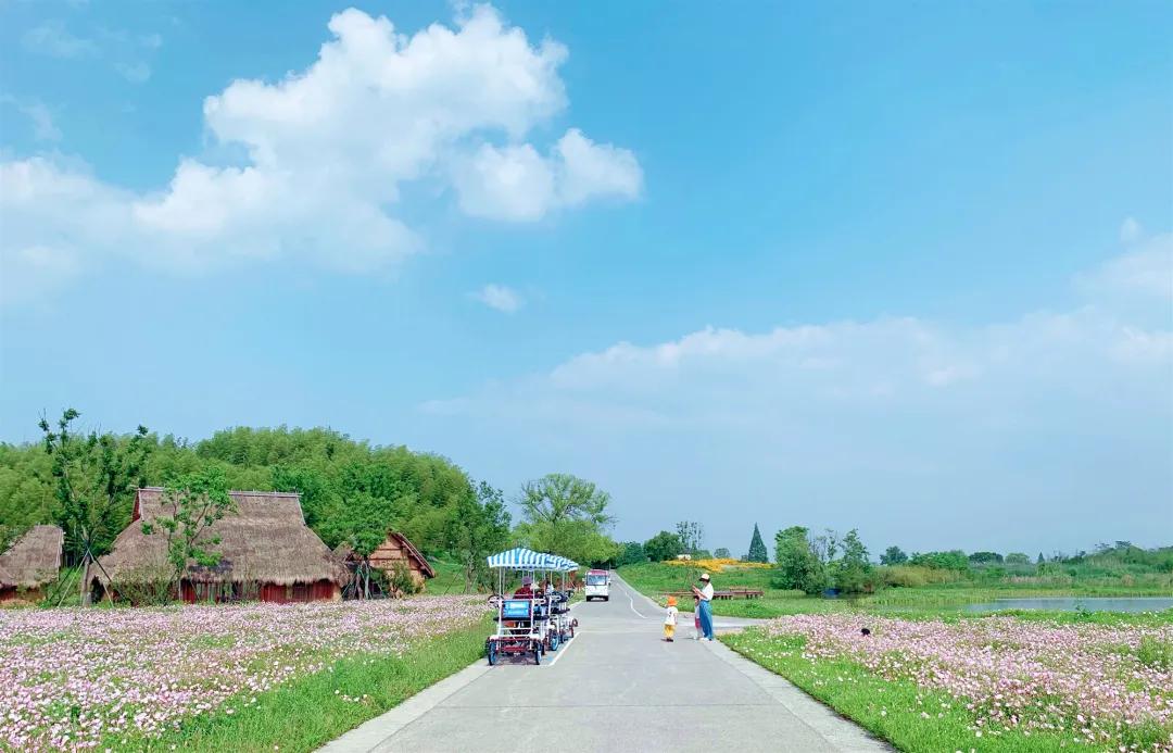 美美美！余杭七大花海组团来袭，遍地繁花好似人间仙境