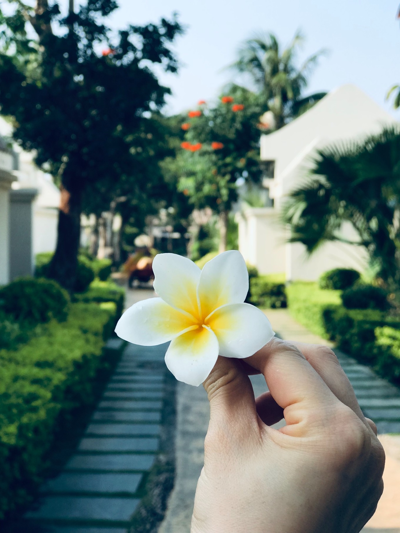 三亚躲台风,三亚避寒15天游玩攻略