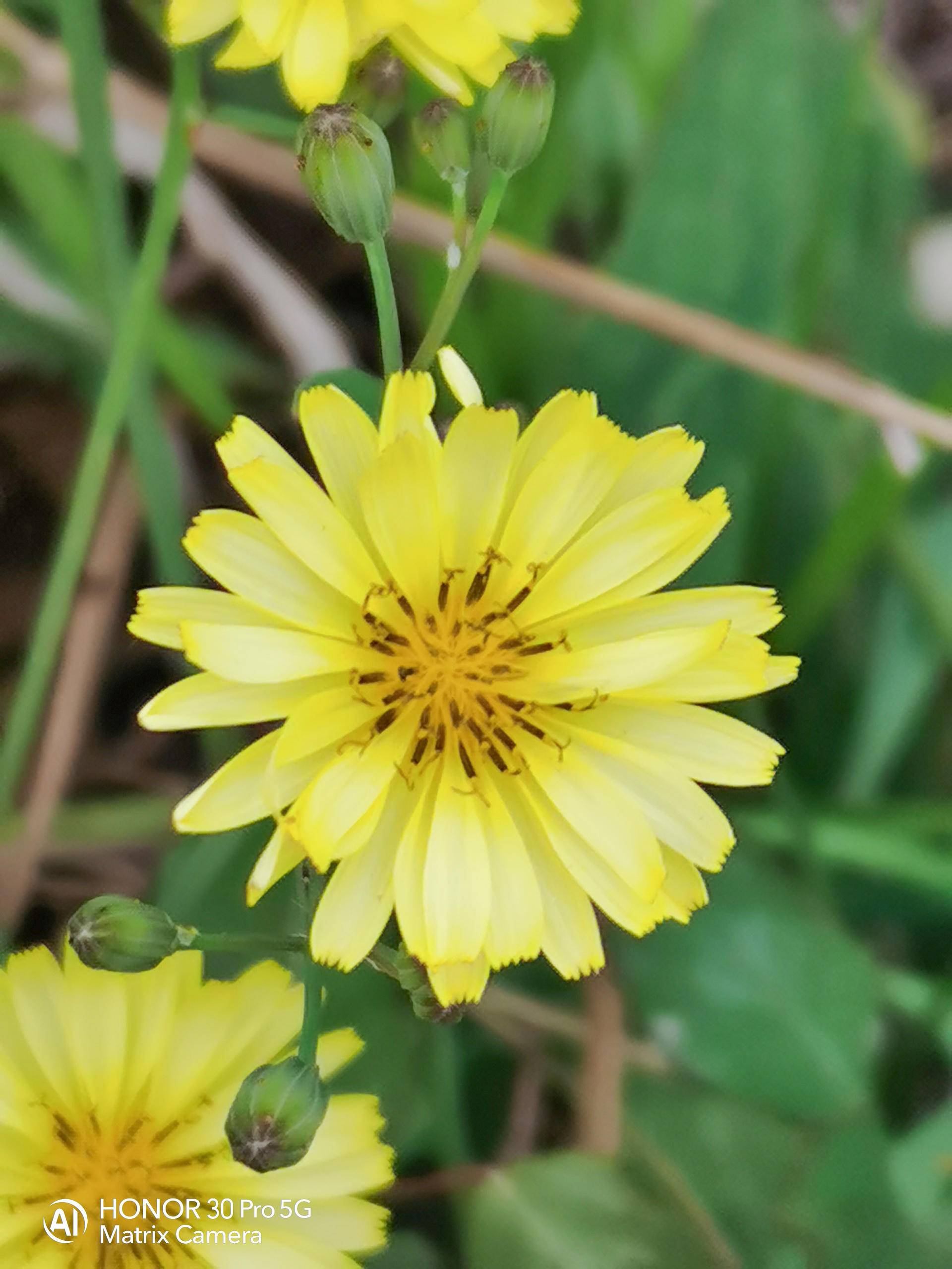 荣耀30pro用一个月的感受,荣耀30pro真实使用感受