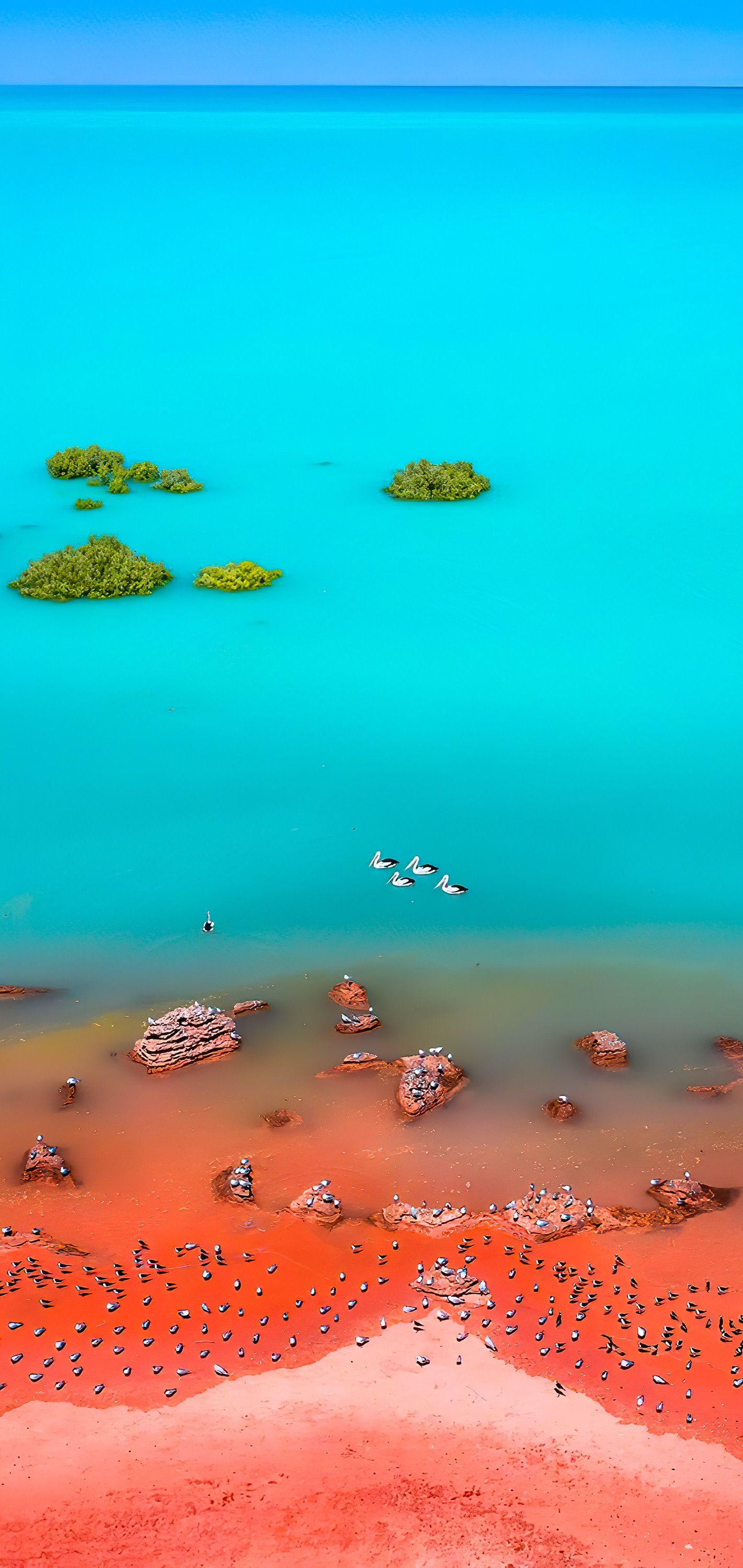 让你惊讶的壁纸,让人一看就震撼的壁纸