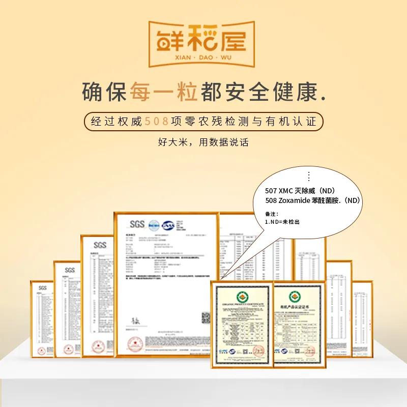 他远离污染，耗时6年扎根纯净沙漠种大米，值得吗？