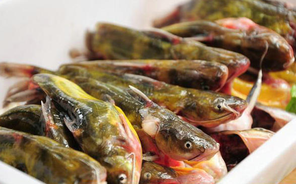 昂刺鱼鲜笋汤,昂刺鱼酸甜口