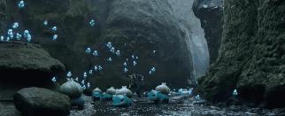 5月电影院观影,5月电影院推荐