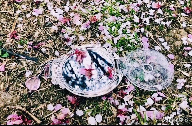 鏁呬埂鑺卞紑姝屾洸,鏁呬埂鑺卞紑姝屾洸鍘熷敱瀹屾暣