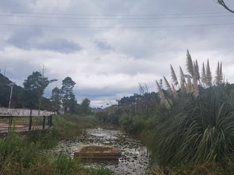 贵州蓬莱仙界旅游攻略,白云区蓬莱仙界景点介绍