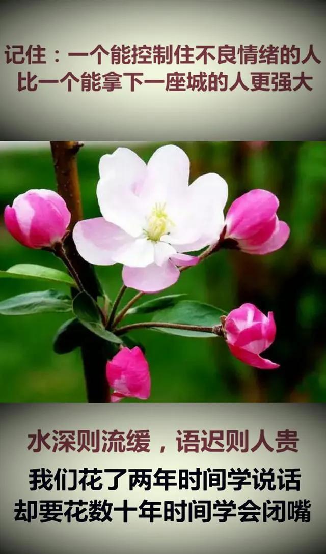 好好说话是一生的必修课朗诵,学会好好说话是一生的必修课