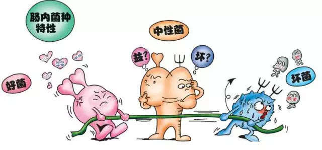 肠道都喜欢怎样的食物?想要胃肠健康,这么吃就对了