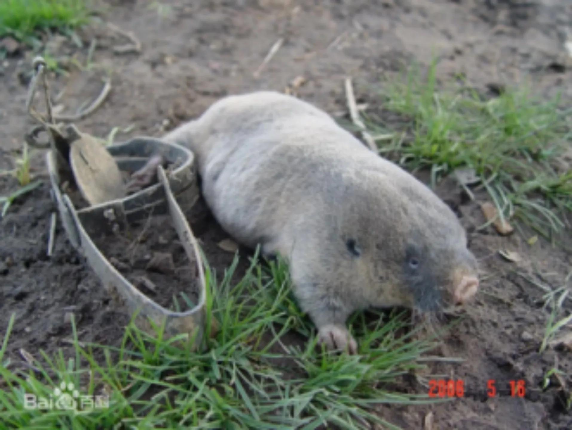 古代治理河道,古代治河技术有哪些