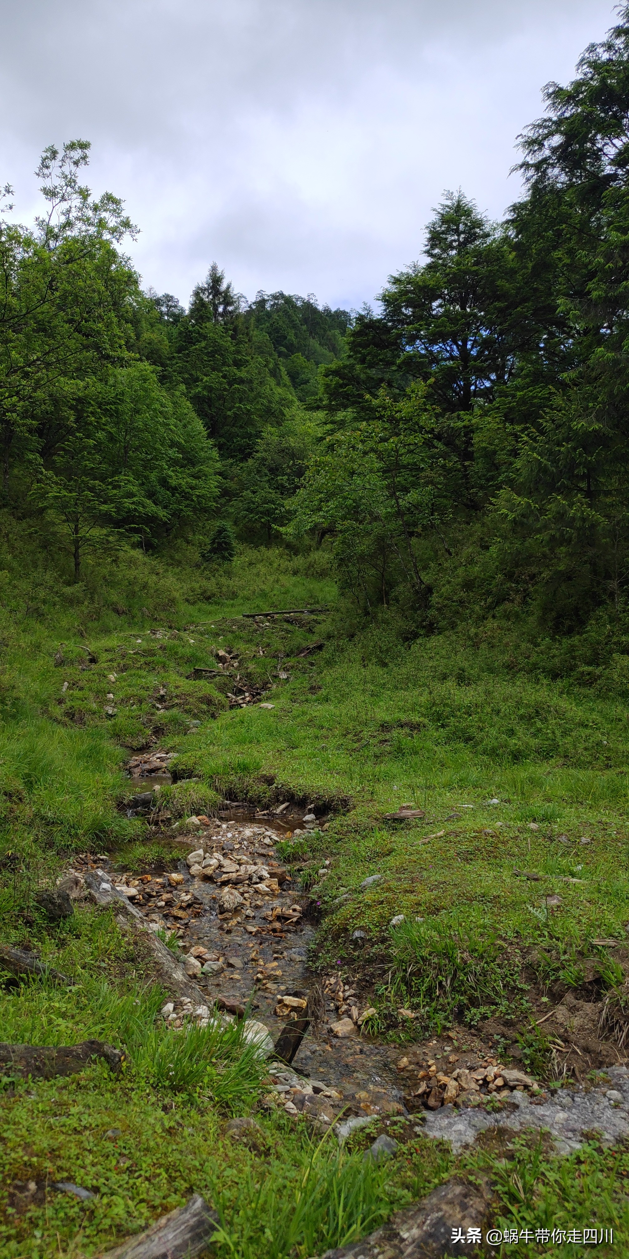 带小朋友出去看小动物,带小孩去海洋动物园