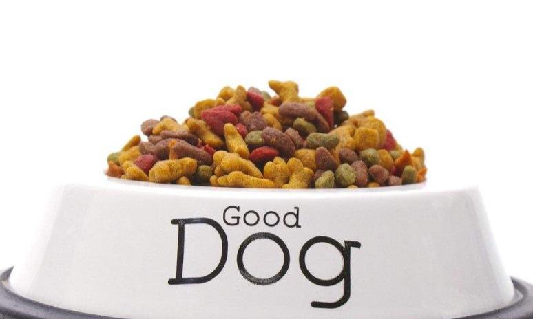 小狗尿黄有眼屎怎么降火,小狗尿尿是黄的