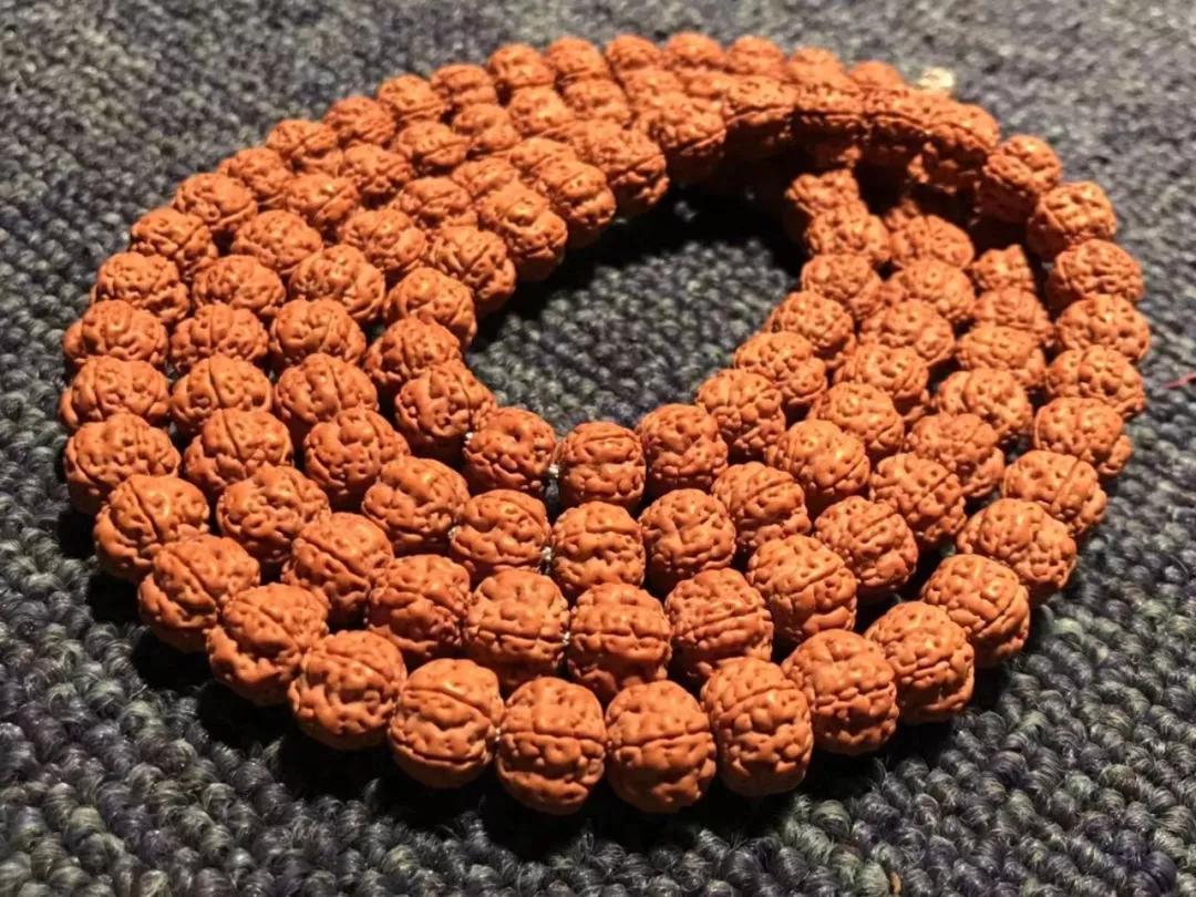 小金刚价格为什么差这么多,小金刚被骗200万