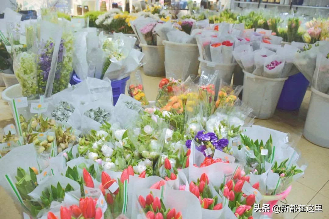 三圣花卉市场正规吗,三圣乡花卉市场今日现状