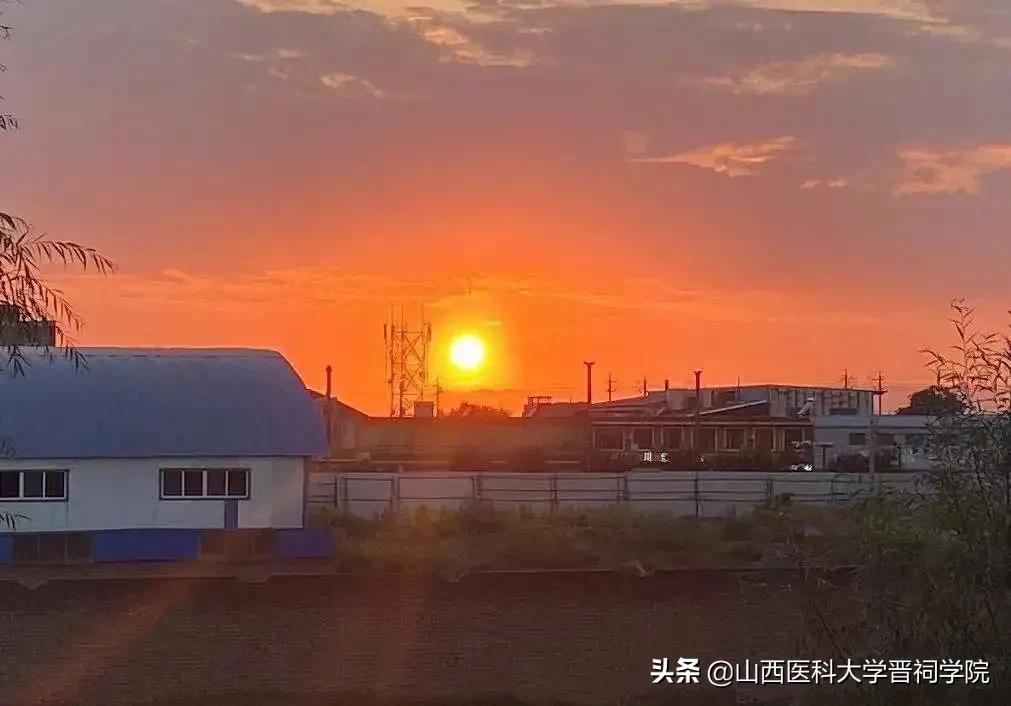 有哪些小众好听的英文名,小众品牌名字英文