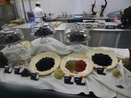 台湾十大美食观光工厂：这也许是马云电商终将消失预言的佐证