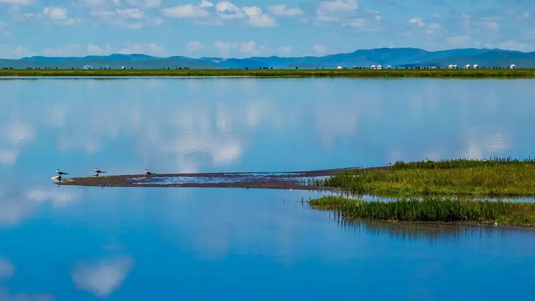 若诗若画若尔盖美景,若诗若画若尔盖文案