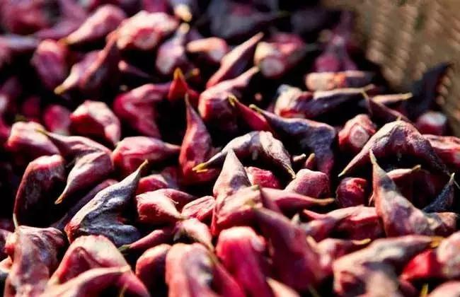 白洋淀荷塘三宝怎么吃,白洋淀特产三宝简介