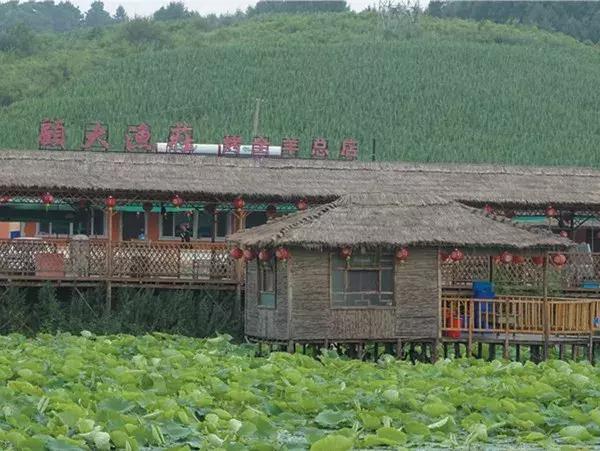 辽源东丰县五一游,辽源十一周边一日游的绝佳去处