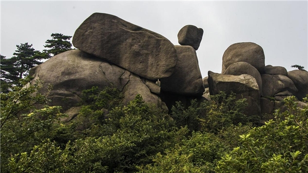 天柱仙境造景,厦门天柱仙境景区