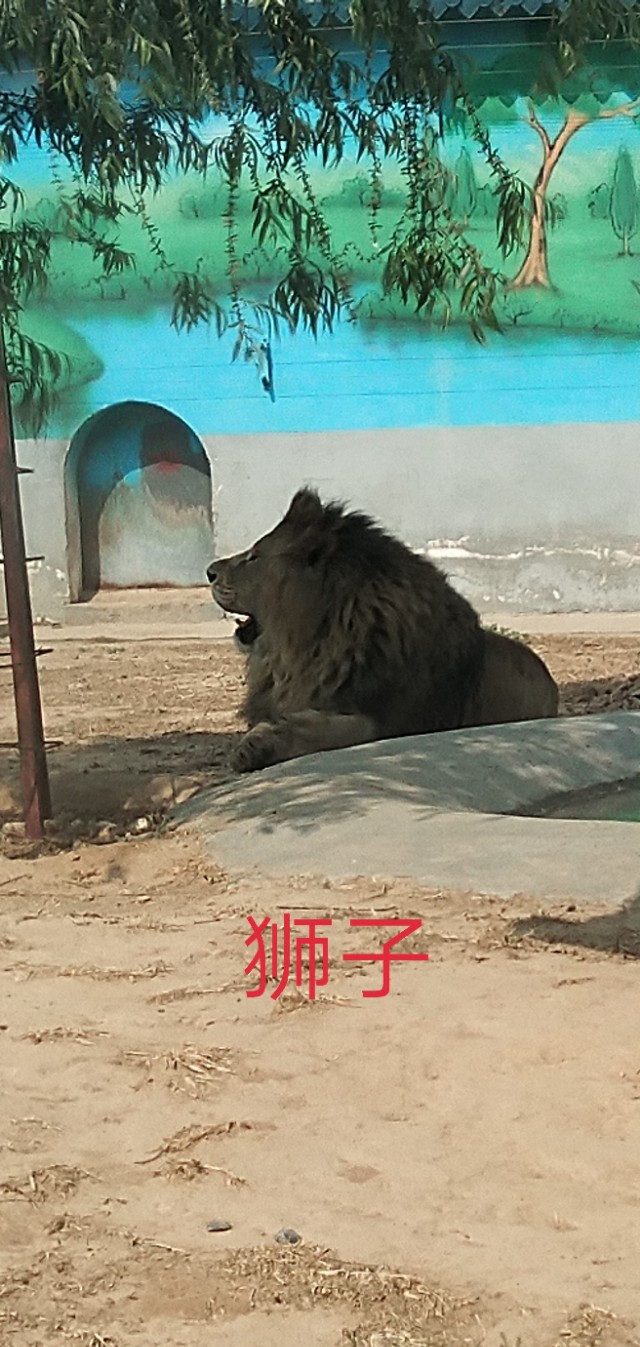 德州动植物园位置,德州动植物园免费吗