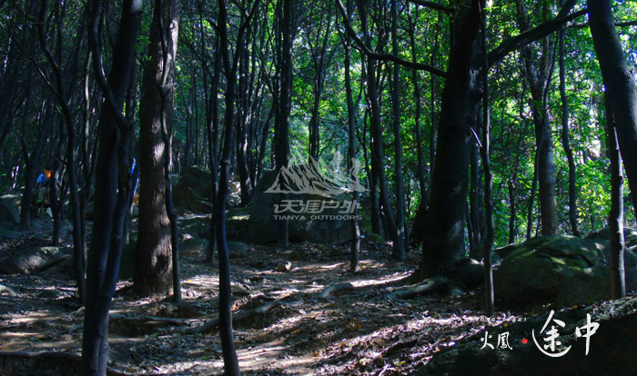 广州徒步山野路线推荐,徒步广州完整版