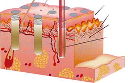 眼霜换着用会影响效果吗,眼霜涂了为什么还长细纹