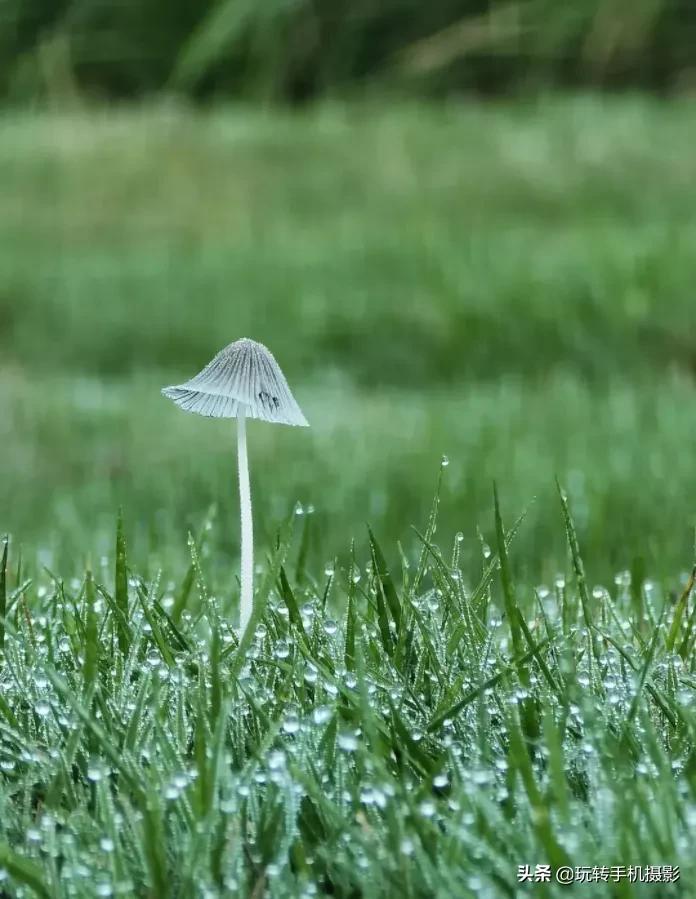 为什么有些人手机拍照那么好看,为什么手机拍照的人越来越多