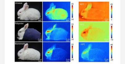 流浪地球没进入地下城的人怎么办,流浪地球地球为什么要流浪