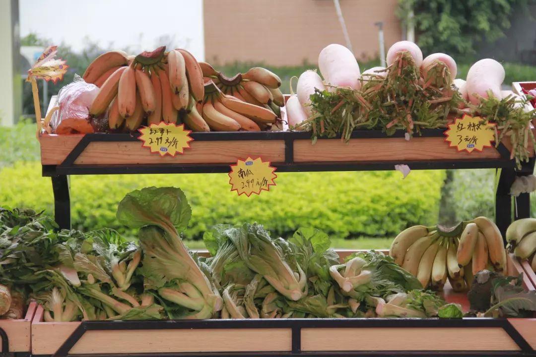 番禺｜物业做“微商”卖菜，管家当“快递员”送菜，广碧这波操作获满屏点赞