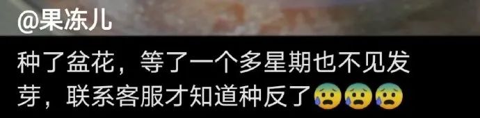 小时候的感觉我感同身受,小时候的我感同身受完整版