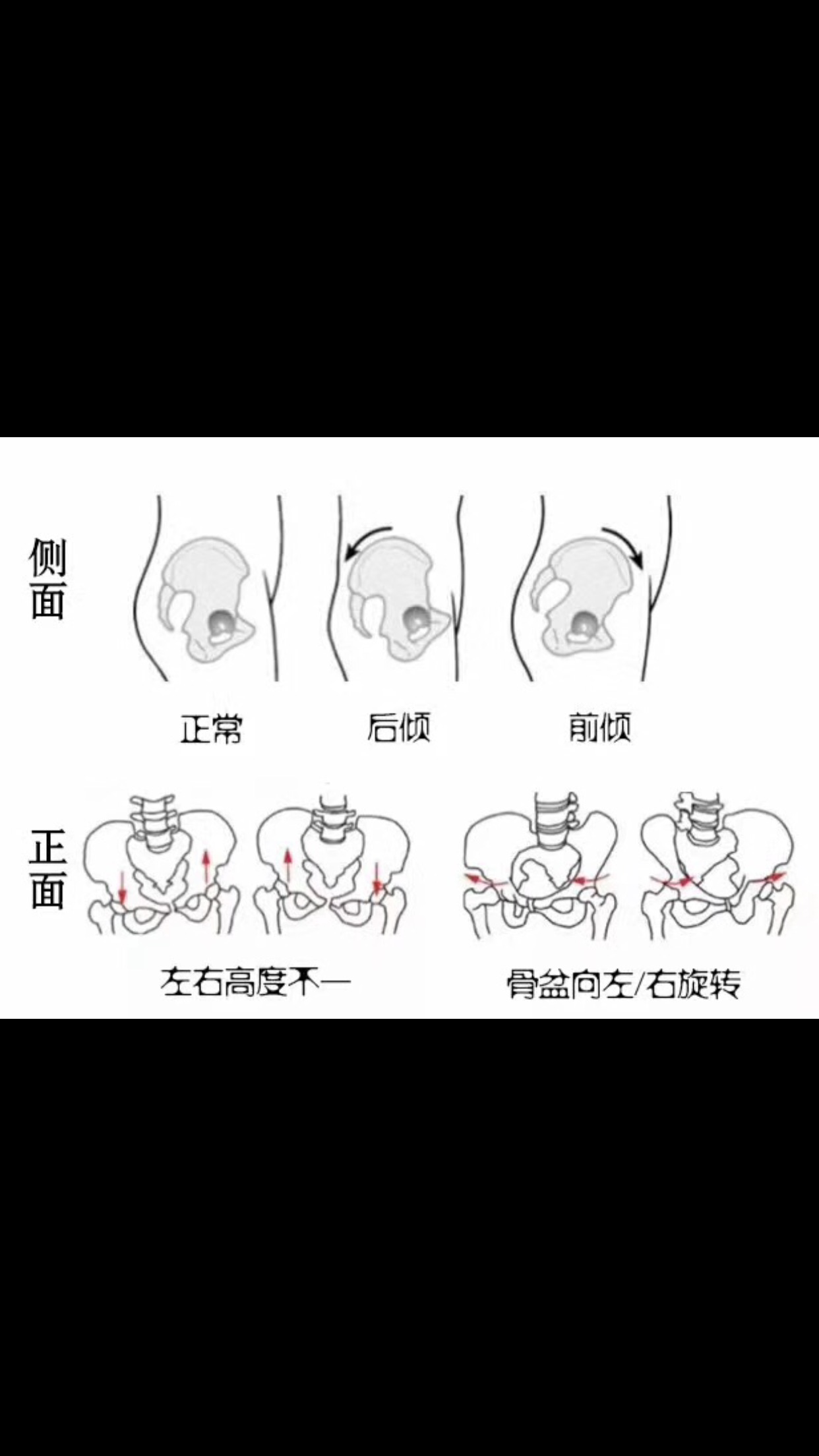 备孕期间能运动,备孕期怎么运动最合理